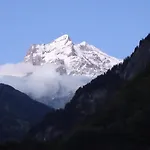 Alpenparadies Komfort 펜션 그린델발트