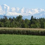 Alpenparadies Komfort 펜션 그린델발트