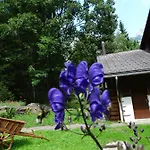 펜션 Alpenparadies Komfort *