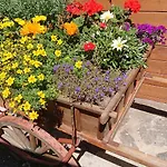 펜션 Alpenparadies Komfort 그린델발트