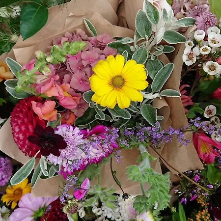 펜션 Alpenparadies Komfort *