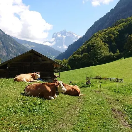 Semesterbostad Alpenparadies Komfort Grindelwald