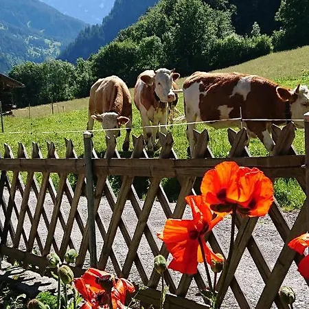 Semesterbostad Alpenparadies Komfort *