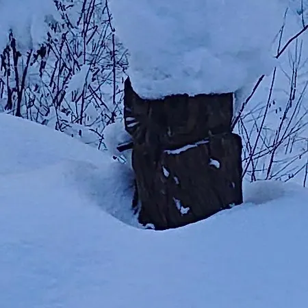 Alpenparadies Komfort Semesterbostad *