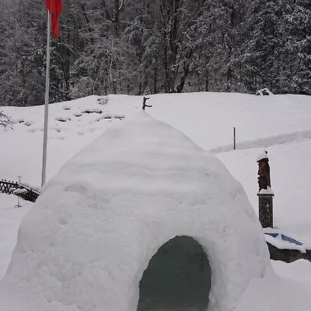 Semesterbostad Alpenparadies Komfort