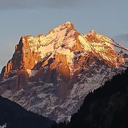 Alpenparadies *