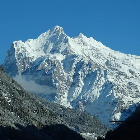 Alpenparadies Komfort * Grindelwald