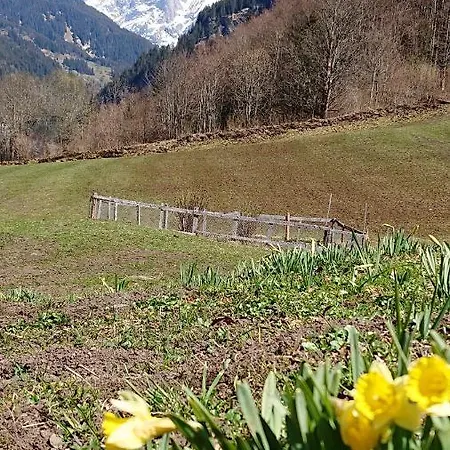 Alpenparadies Komfort Semesterbostad *
