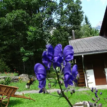 Semesterbostad Alpenparadies Komfort *