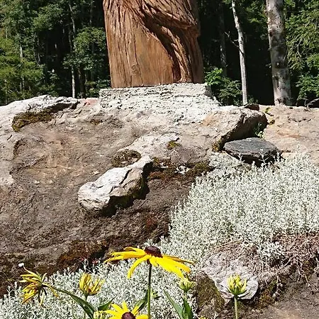 Alpenparadies Komfort * 그린델발트