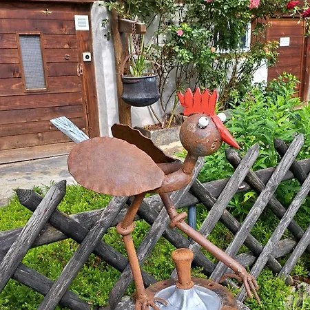 Tatil Evi Alpenparadies Komfort *