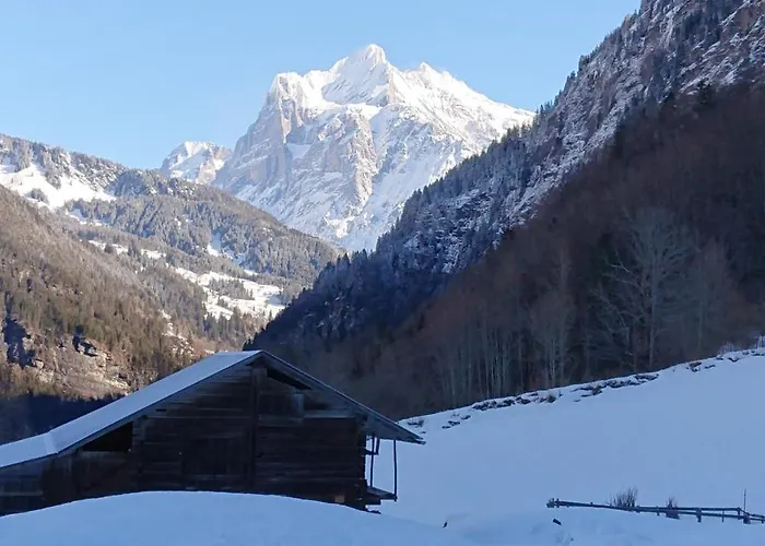 Alpenparadies Komfort * 그린델발트