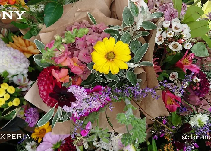 別荘 Alpenparadies Komfort *