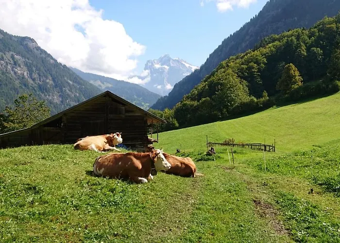 別荘 Alpenparadies Komfort グリンデルヴァルト