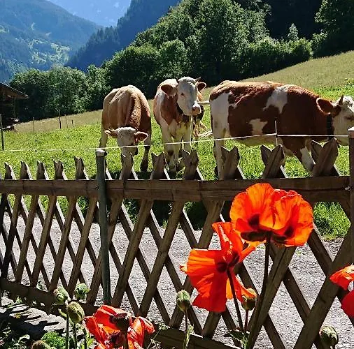 펜션 Alpenparadies Komfort *