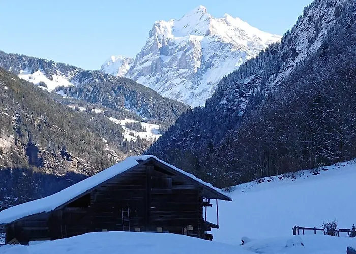 펜션 Alpenparadies Komfort 그린델발트