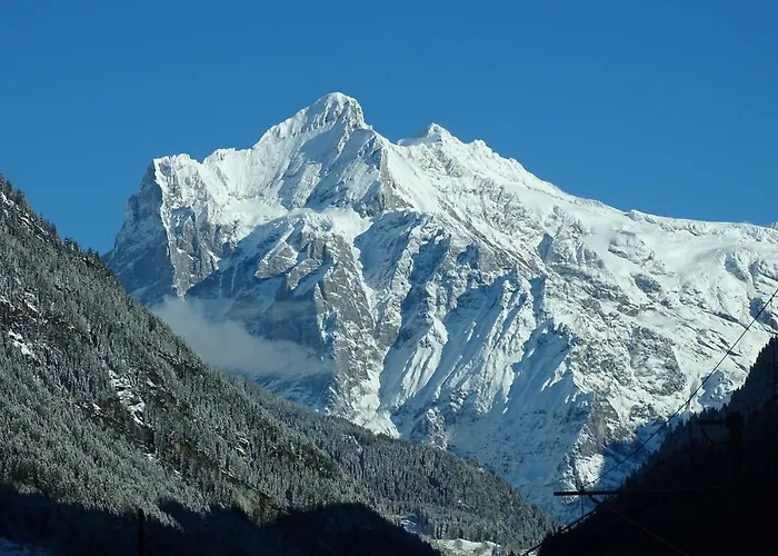 Alpenparadies Komfort * 그린델발트