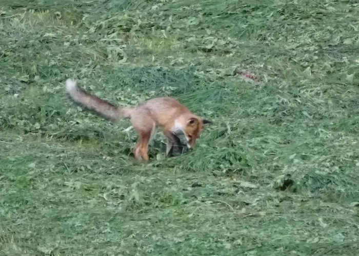 Alpenparadies Komfort *