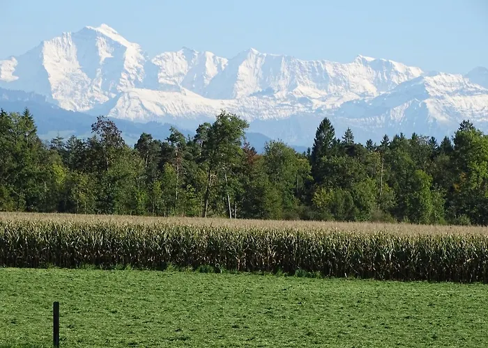 Alpenparadies Komfort 펜션 그린델발트