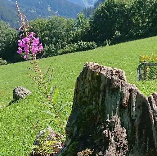 Alpenparadies Komfort *