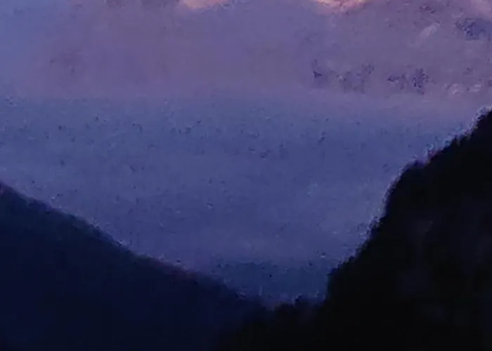 Alpenparadies Komfort 펜션 그린델발트