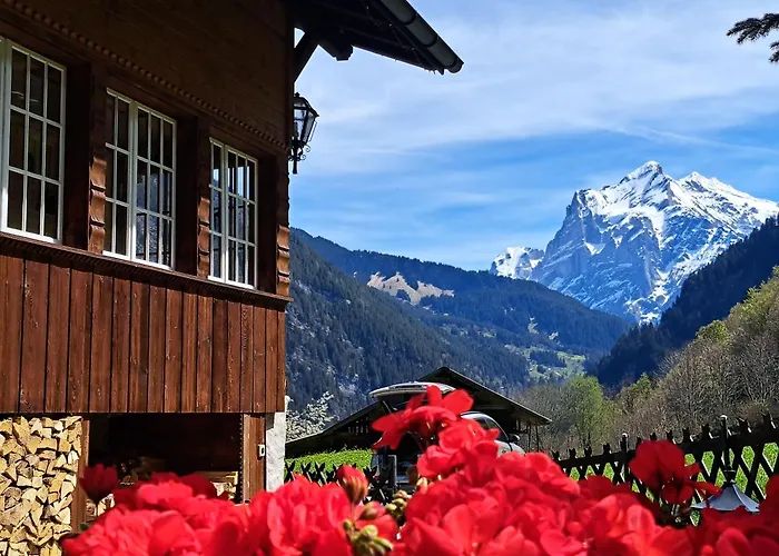 Alpenparadies Komfort 펜션 *