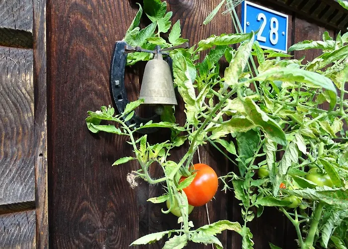 Alpenparadies Komfort Holiday home