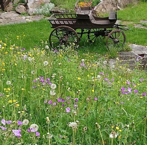 Alpenparadies Komfort Holiday home Grindelwald