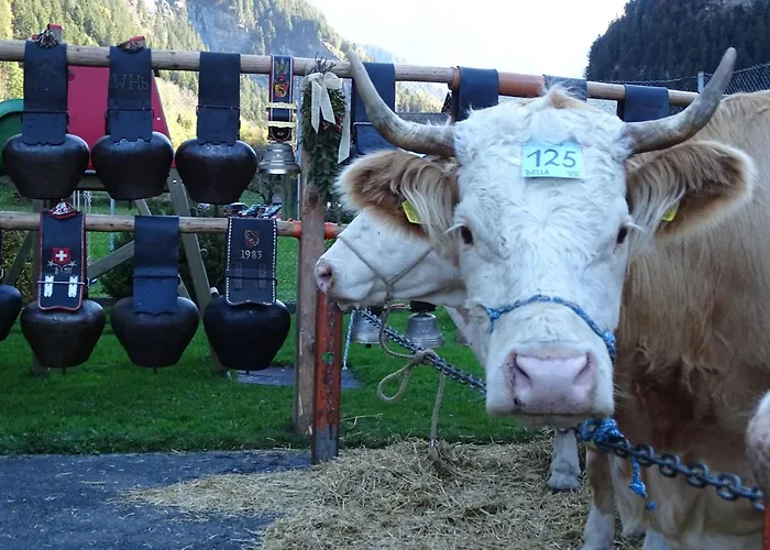 Alpenparadies Komfort
