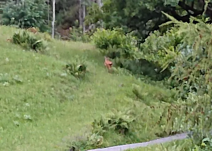 Holiday home Alpenparadies Komfort *