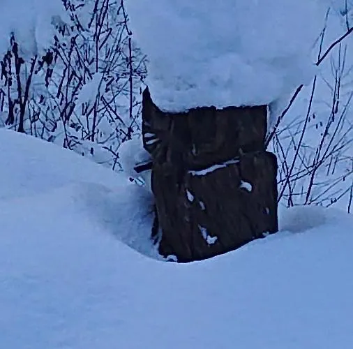 Alpenparadies Komfort Holiday home *