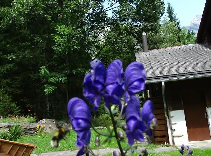 Holiday home Alpenparadies Komfort *